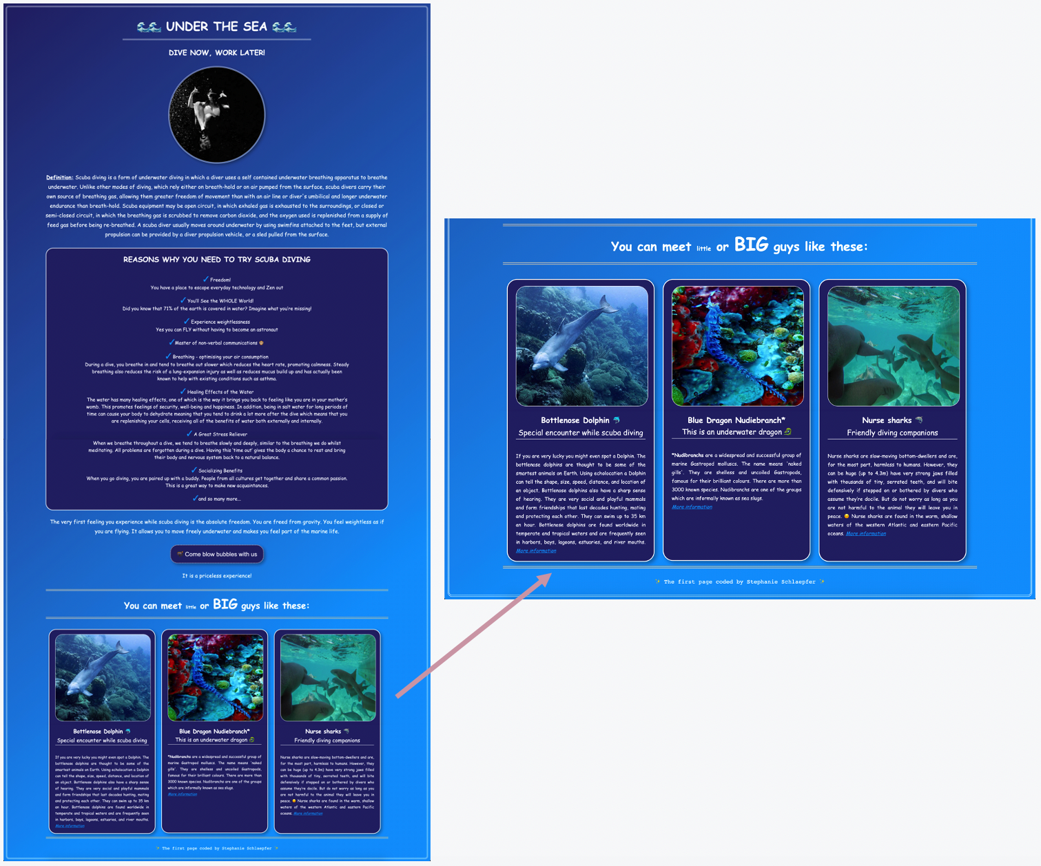 Scuba Diving Landing Page Screenshot